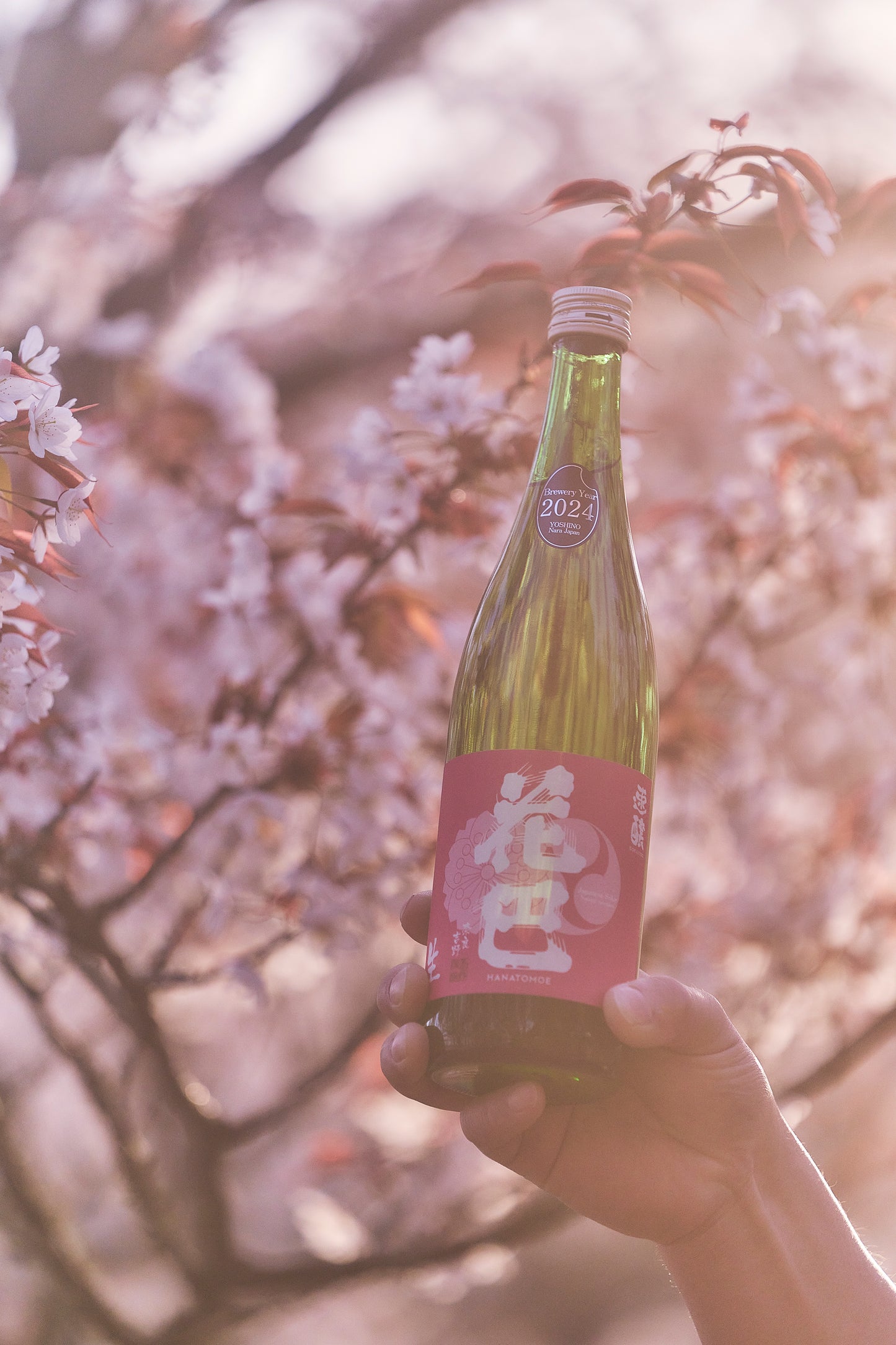 花巴 速醸定生酒