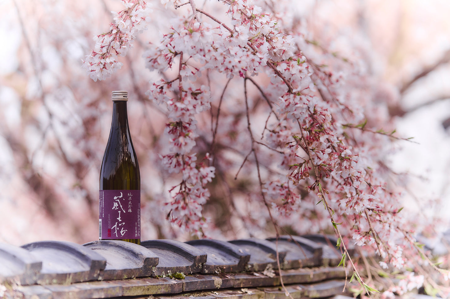 蔵王桜 純米大吟醸