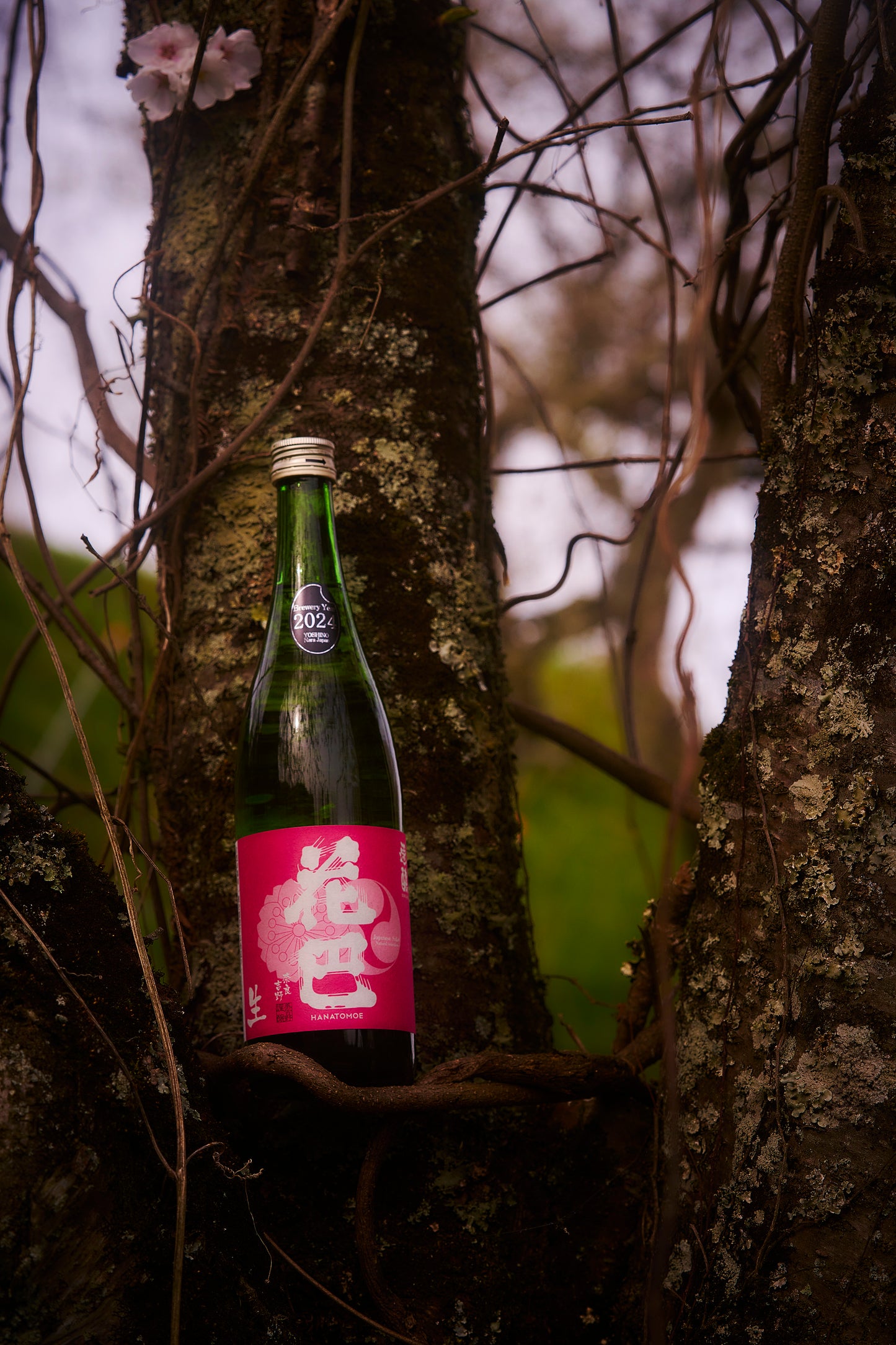 花巴 速醸定生酒