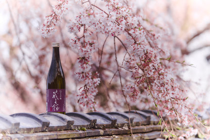 蔵王桜 純米大吟醸