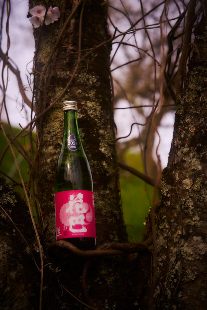 花巴 速醸定生酒